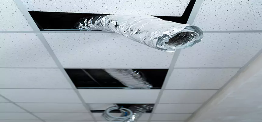 Our Air Duct Pet Hair Removal Services in San Diego, CA