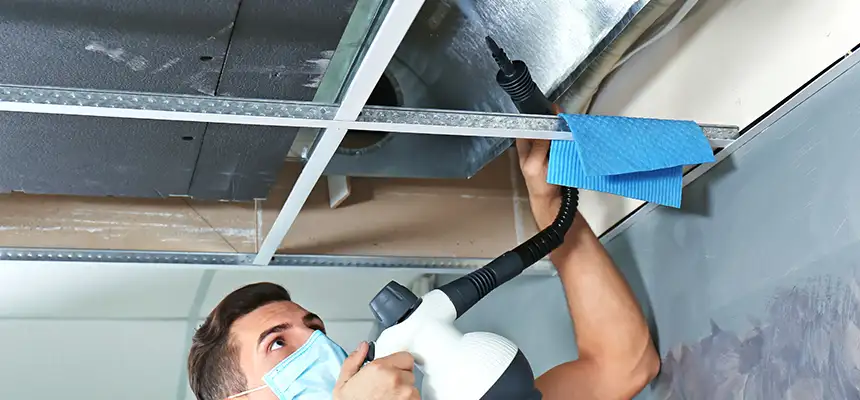Our Air Duct Rodent Removal Services in San Diego, CA