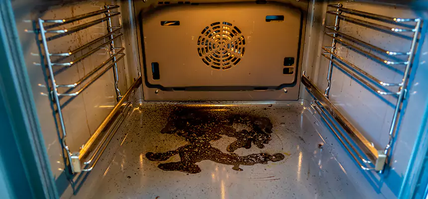 Our Dryer Vent Mold Cleaning Services in San Diego, CA