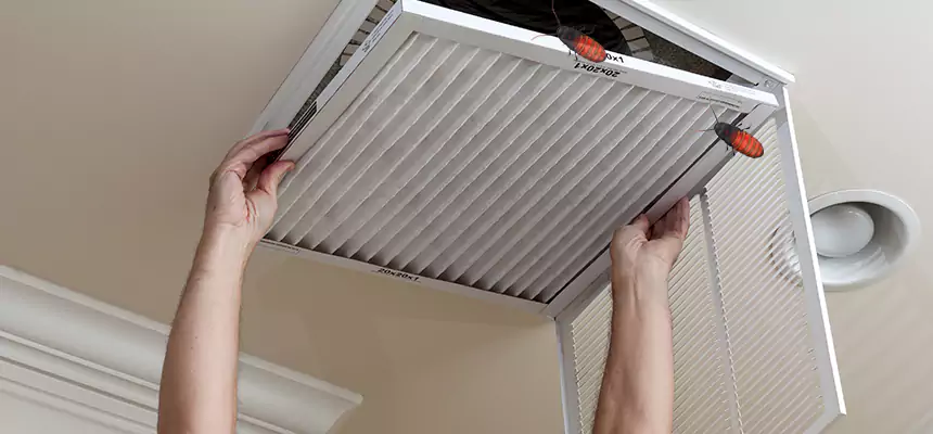 Our Insect Removal from Air Ducts Services in San Diego, CA