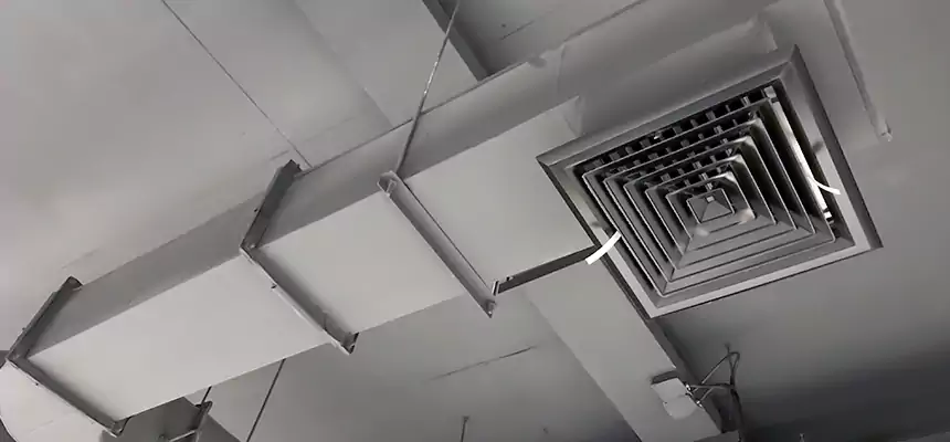 Our Pest Removal From Ducts Services in San Diego, CA