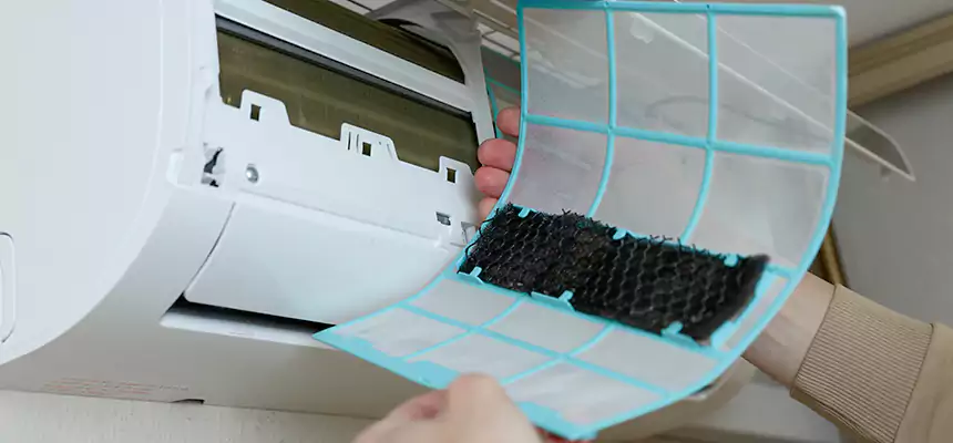 Gentle Ductwork Odor-Control Pet Dander Duct Cleaning in San Diego, CA