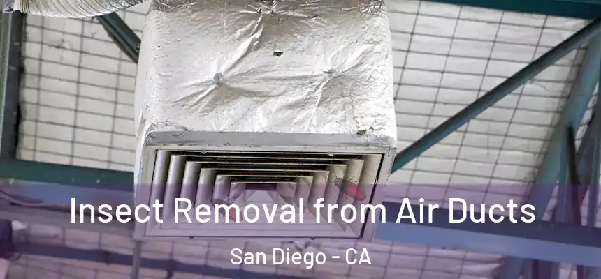 Insect Removal from Air Ducts San Diego - CA