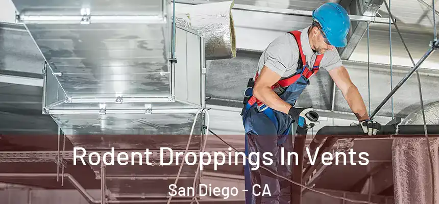  Rodent Droppings In Vents San Diego - CA