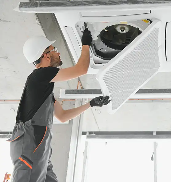 About Air Duct Rodent Removal in San Diego, CA