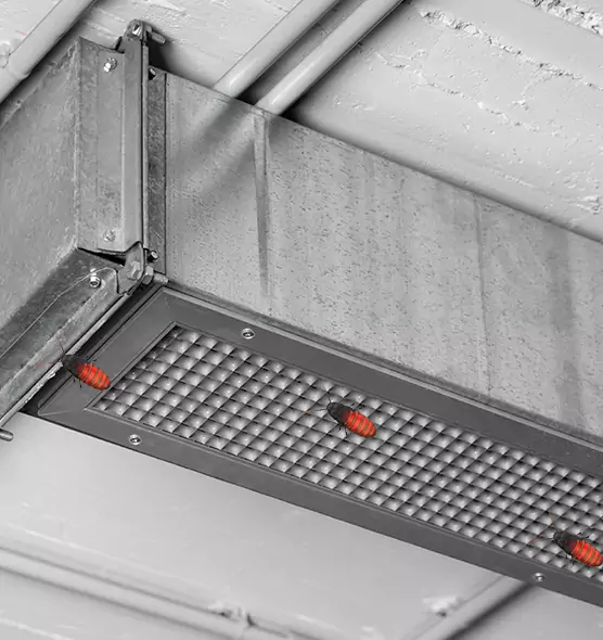 Affordable Insect Removal from Air Ducts in San Diego, CA