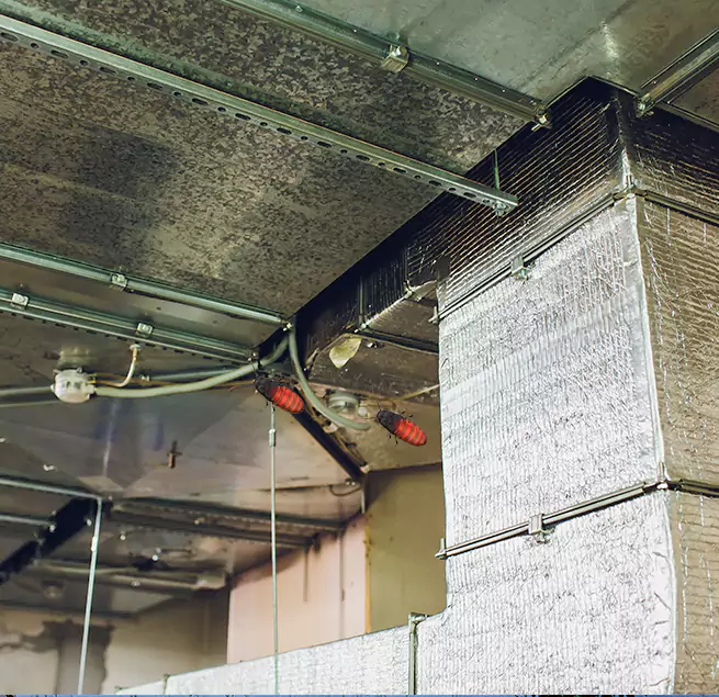 Why Homeowners & Businesses Trust Us in San Diego, CA?