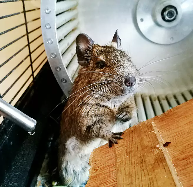 Why Homeowners & Businesses Trust Us San Diego, CA