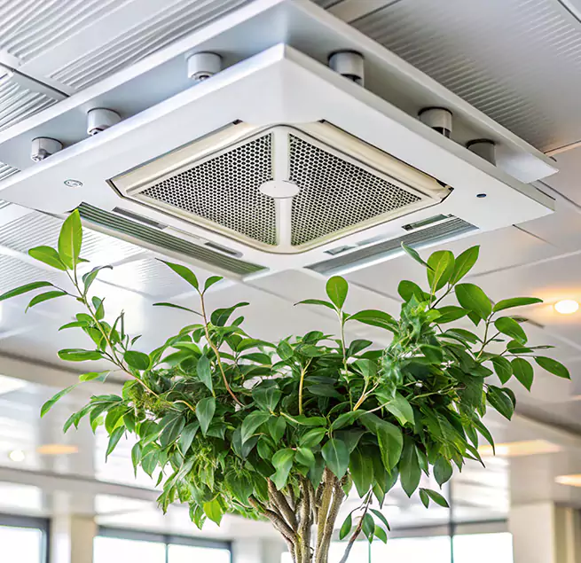 Why Homeowners & Businesses Trust Us in San Diego, CA?